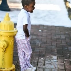 The Yellow Lamb TYL Outlet Parker Pant In Palmer Plaid