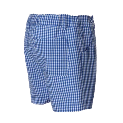 The Yellow Lamb Alexander Short In Blue Gingham TYL Outlet